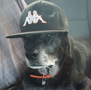 Meet your Posher, Ken